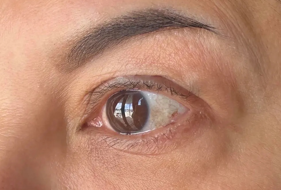 Brow Wax & Tint at The Chateau Glo