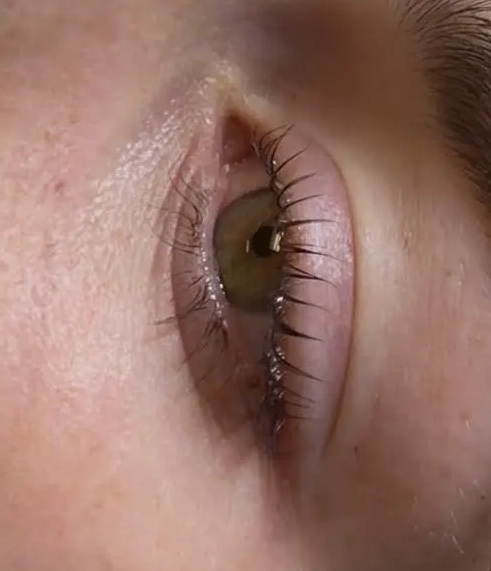 Lash Lift & Tint at The Chateau Glo