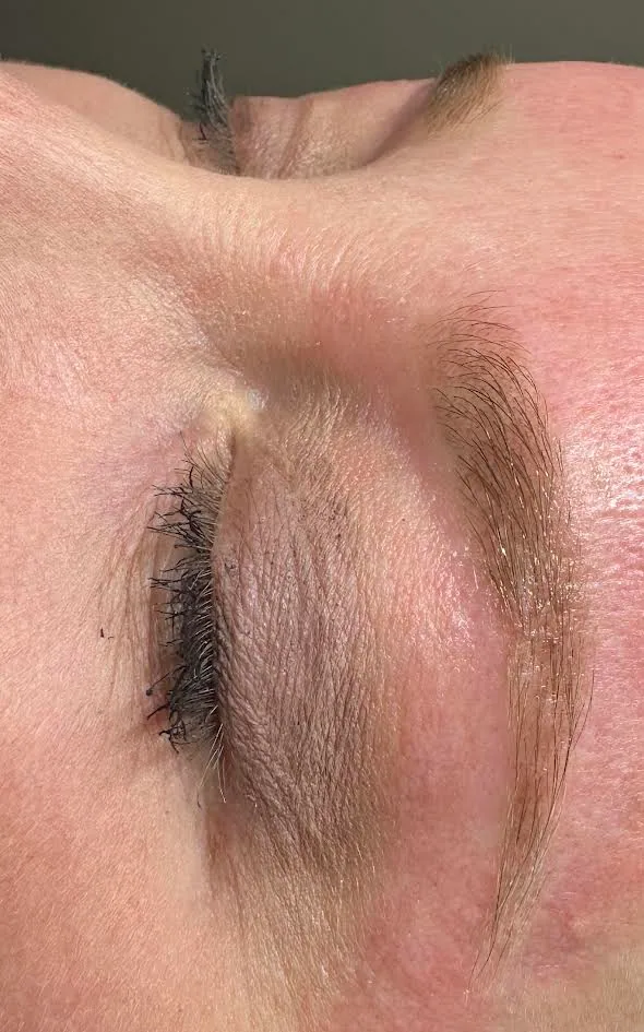 Brow Wax & Tint photo 4